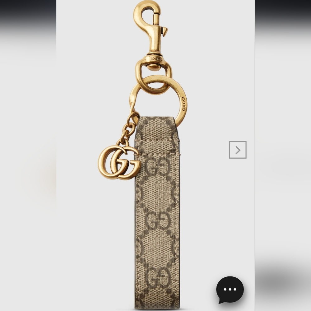 Ophidia keychain with hook closure